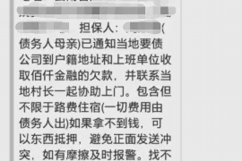 杞县为什么选择专业追讨公司来处理您的债务纠纷？